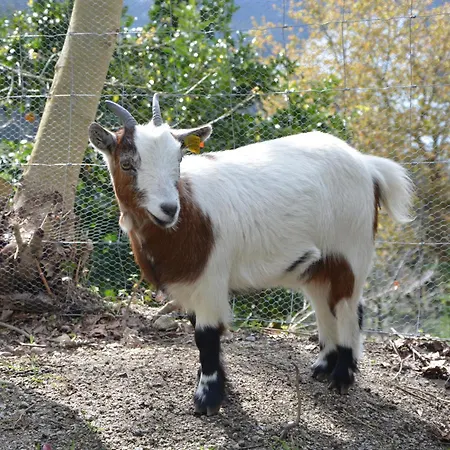 Apartamento Canicada Vieira do Minho